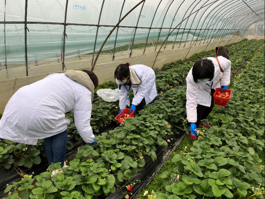 長江云報道：武漢實施最嚴農檢標準 全年3190個市級監測樣品全部合格